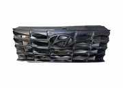 Vorderer oberer Gitter HYUNDAI TUCSON (NX4E, NX4A) 1.6 T-GDi Hybrid 86391CZ000