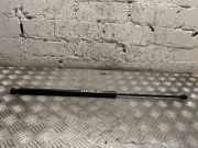 Heckklappe Gasdruckfeder links MERCEDES-BENZ VITO Furgon (W447) 111 CDI (447.601, 447.603, 447.605) A4479800164