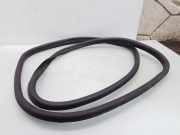 Dichtungsgummi der hinteren Tür (an der Karosserie) CITROËN C4 Grand Picasso I (UA_) 2.0 HDi 138