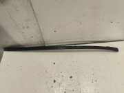 Zierleiste Windschutzscheibe Frontscheibe MERCEDES-BENZ E (W211) E 320 CDI (211.022) A2116901782
