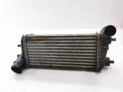 Ladeluftkühler Ford Focus III (DYB) BV619L440CE