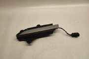 Türgriff links vorne Tesla Model X (5YJX) 103541899D