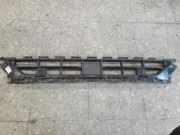 Kühlergrill unten Audi Q2 (GA) 81A807647M