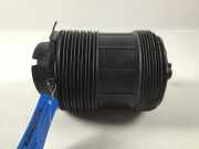 Schraubenfeder hinten links