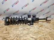 Stoßdämpfersatz Vorderachse BMW 7er (F01, F02, F03, F04) F01V063V