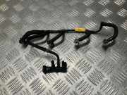 KRAFTSTOFFVERTEILER EINSPRITZLEISTE VERTEILERROHR NISSAN JUKE (F15) 1.5 dCi 166714557R