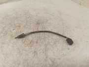 Abgastemperatursensor BMW 7 (E65, E66, E67) 730 Ld 7795166