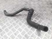 Schlauch Kühlung RENAULT LAGUNA III (BT0/1) 3.0 dCi (BT03, BT13) 215010002R