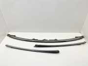 Windschutzscheibenverkleidung MERCEDES-BENZ SL (R129) 600 (129.076) A1296900280 A1296900180