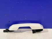 Türaußengriff vorne rechts POLESTAR 2 (534) EV EV 40000436