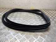 Türgummi links vorne Ford EcoSport ()