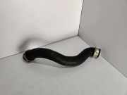 Wasserkühlerschlauch links