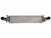 Ladeluftkühler MERCEDES-BENZ SLK (R172) 250 CDI / d (172.403) A2045000200