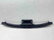 Frischluftgrill BMW X5 (E70) 3.0 d 0117787 ZB0117785