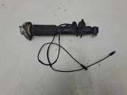 Stoßdämpfer hinten links BMW X6 (F16, F86) xDrive 30 d 6867864 6867867