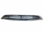 Gitter MINI COOPER (R50, R53) Cooper S