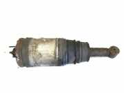 Pneumo-Stoßdämpfer hinten links LAND ROVER RANGE ROVER SPORT (L320) 2.7 D 4x4 RPD500184