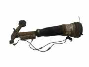 Stoßdämpfer links vorne Mercedes-Benz S-Klasse (W220) C086053J