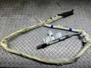 SRS Modul Dach links AUDI Q7 (4L) 3.0 TDI quattro 4L0880741A