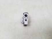 Expansionsventil für Klimaanlage Audi A4 (8K, B8) Y7556002