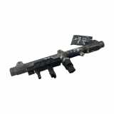 Einspritzleiste Citroen C5 II (RC) 0445214017
