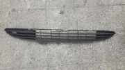 Kühlergrill unten Peugeot 206 Schrägheck (2A/C)