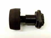 Kühlerträger Ford EcoSport ()