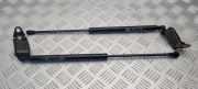 Heckklappe Gasdruckfeder links LEXUS IS II (GSE2_, ALE2_, USE2_) 220d (ALE20) GS1009