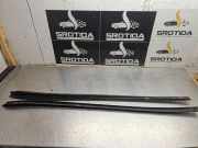Zierleiste Windschutzscheibe Frontscheibe MERCEDES-BENZ R (W251, V251) R 280 CDI 4-matic (251.020) A2516904962