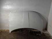 Motorhaube FIAT 500X (334_) 2.0 D Multijet 4x4