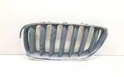Vorderer oberer Gitter BMW X5 (E53) 3.0 d 7124815