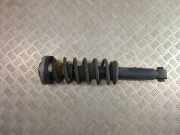 Stoßdämpfer rechts hinten BMW X3 (F25) 6796317