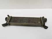 Ladeluftkühler MERCEDES-BENZ A (W168) A 170 CDI (168.009, 168.109)