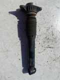 Stoßdämpfer hinten links BMW 5 (F10) 530 d 6784114