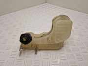 AUSGLEICHSBEHÄLTER KÜHLWASSER RENAULT LAGUNA Coupe (DT0/1) 1.5 dCi 217100014R