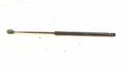 Heckklappe Gasdruckfeder links MERCEDES-BENZ A (W169) A 180 CDI (169.007, 169.307) 1697400045