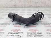 Schlauch für Zylinderkopfhaubenentlüftung VW Touran (1T1, 1T2) 038103493AC