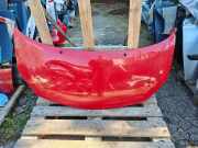 Motorhaube RENAULT TWINGO II (CN0_) 1.2 (CN0D)