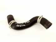 Schlauch Kühlung TOYOTA C-HR (_X1_) 1.8 Hybrid (ZYX10_)