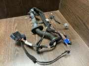 Kabel der vorderen linken Tür OPEL MOVANO B Furgon 2.3 CDTI FWD 241258291R CE9482291R