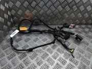 Türverkabelung hinten links PEUGEOT TRAVELLER 2.0 BlueHDi 180 9816584180