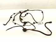 Kabelbaum Hinteren Parksensoren NISSAN QASHQAI / QASHQAI +2 I (J10, JJ10) 1.6 dCi 24017EY10A