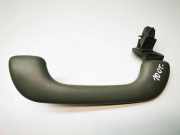 Dachgriff hinten links RENAULT TRAFIC II Furgon (FL) 2.5 dCi 145 (FL0J) 8200000099