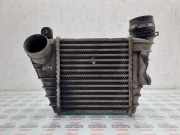 Ladeluftkühler VW Golf IV (1J) 1J0145805D