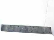 Türverkleidung links Fiat Ducato Kasten (250) 1306606070