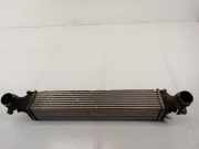 Ladeluftkühler Opel Astra K (B16) 427460812