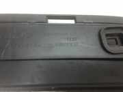 Stoßstangenhalterung hinten links