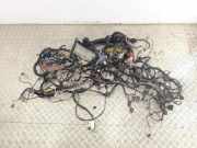 Kabelbaum AUDI A2 (8Z0) 1.4 TDI 8Z1971076AM