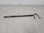Heckklappe Gasdruckfeder links NISSAN X-TRAIL (T32_) 1.6 dCi (T32) 905614CL3A
