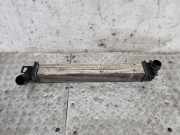 Ladeluftkühler RENAULT MEGANE III Hatchback (BZ0_) 1.5 dCi (BZ09, BZ0D) M162983